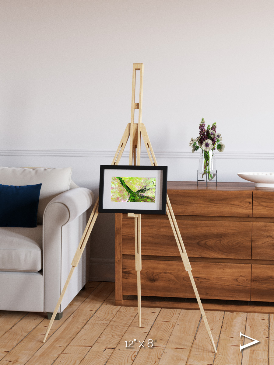 Inland Bloom, Okavango Framed & Mounted Print