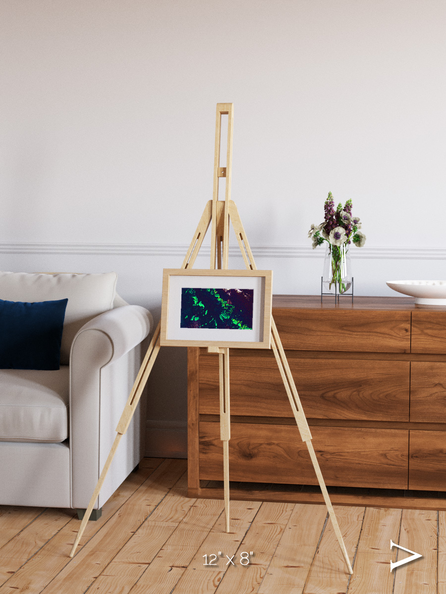 Patterned Ground, Great Barrier Reef Framed & Mounted Print