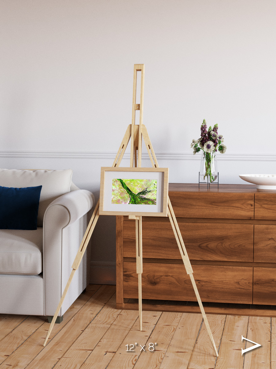 Inland Bloom, Okavango Framed & Mounted Print