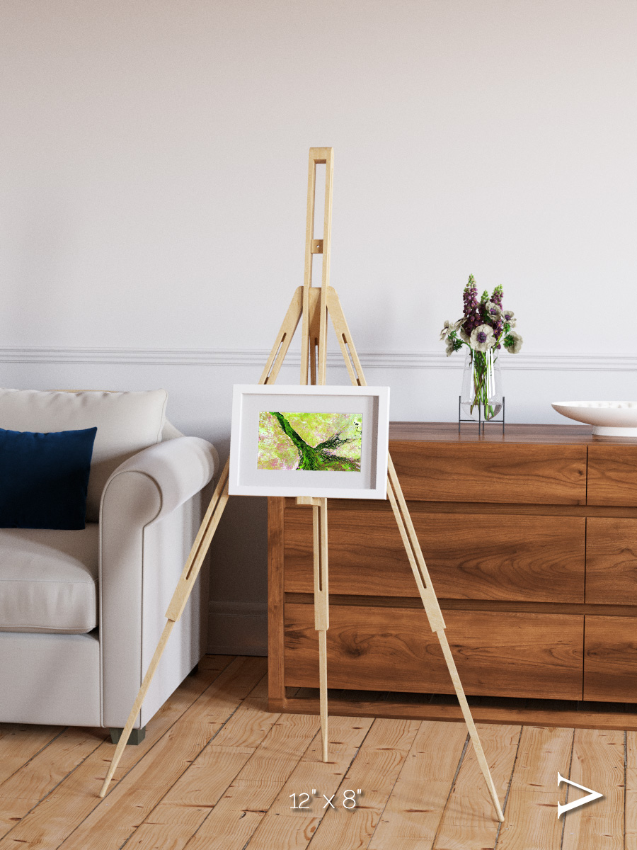 Inland Bloom, Okavango Framed & Mounted Print