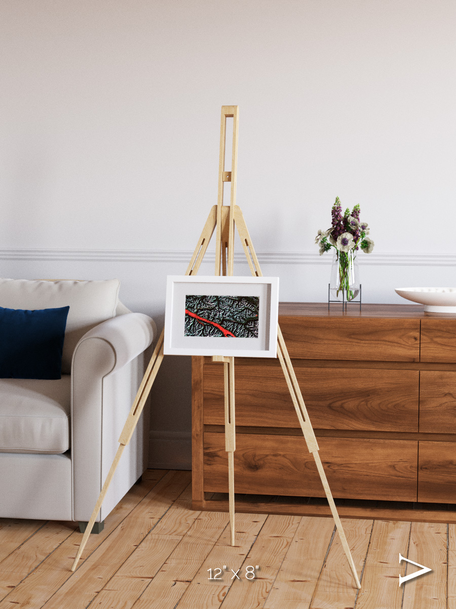 Light in the Trench, Canadian Rockies Framed & Mounted Print