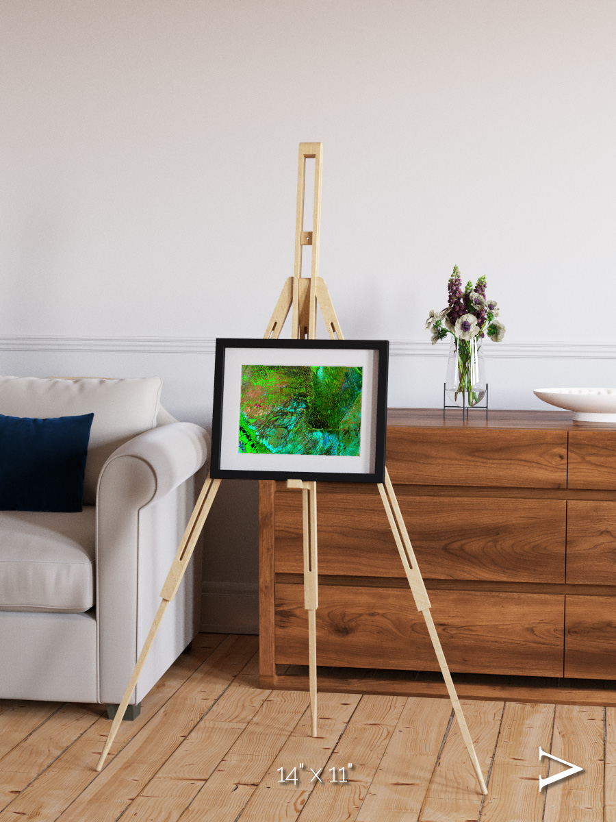 Linear Dunes, Florida Everglades Framed & Mounted Print
