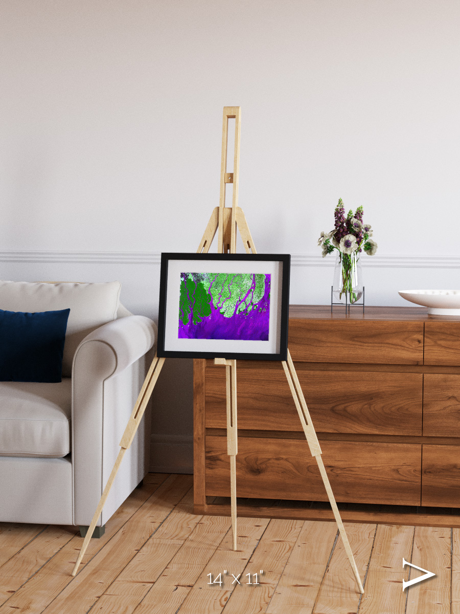 Delta Mosaic, Ganges River Delta Framed & Mounted Print