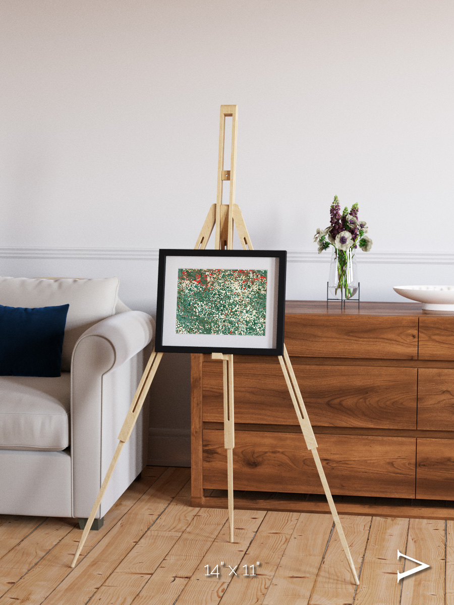 Patterns of Growth, Garden City Framed & Mounted Print