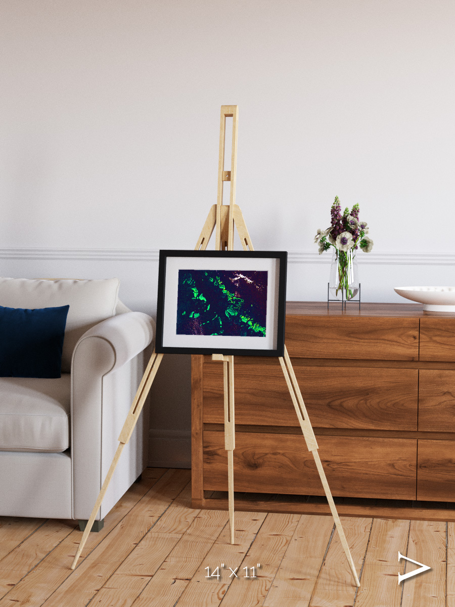 Patterned Ground, Great Barrier Reef Framed & Mounted Print