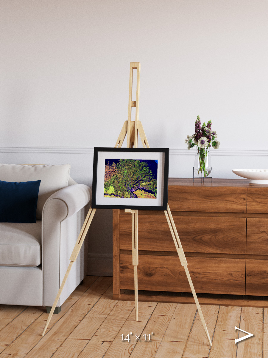 Delta Mosaic, Lena Delta Framed & Mounted Print