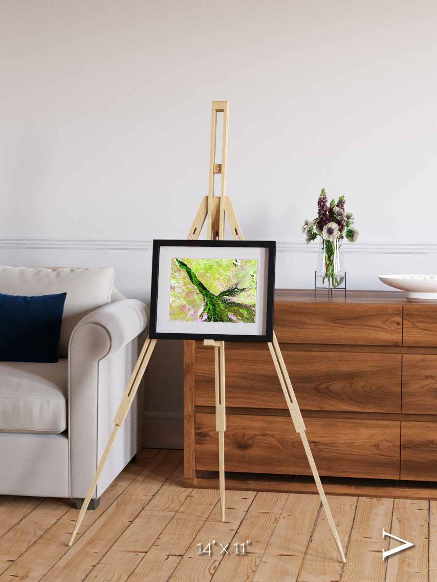 Inland Bloom, Okavango Framed & Mounted Print