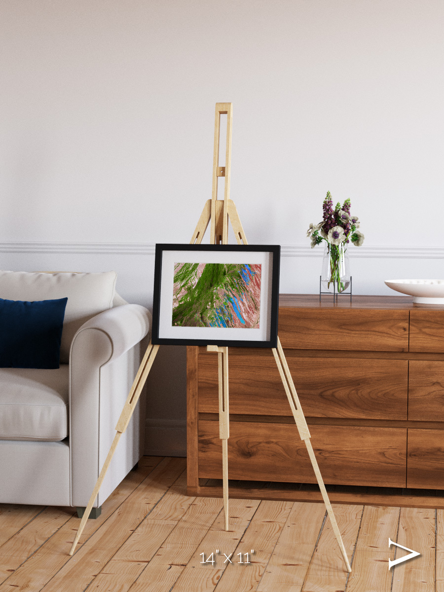 Desert Bloom, Lake Eyre Basin Framed & Mounted Print