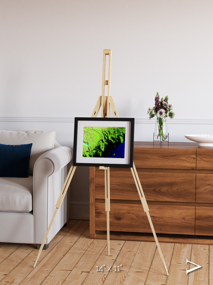 Delta Mosaic, Volga River Delta Framed & Mounted Print