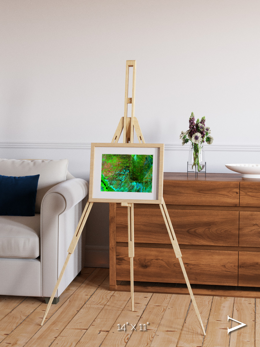 Linear Dunes, Florida Everglades Framed & Mounted Print