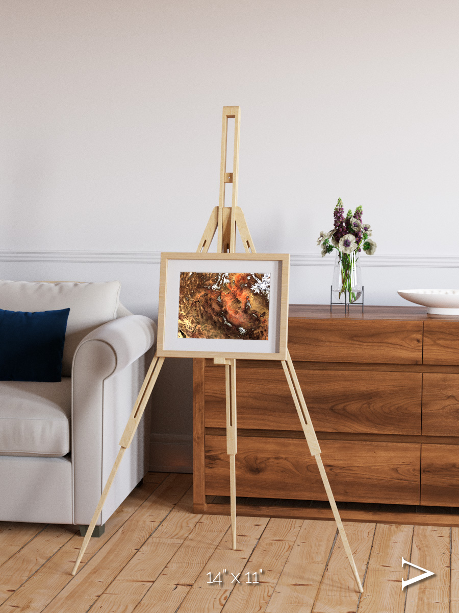 Sunlit Dunes, North America Framed & Mounted Print