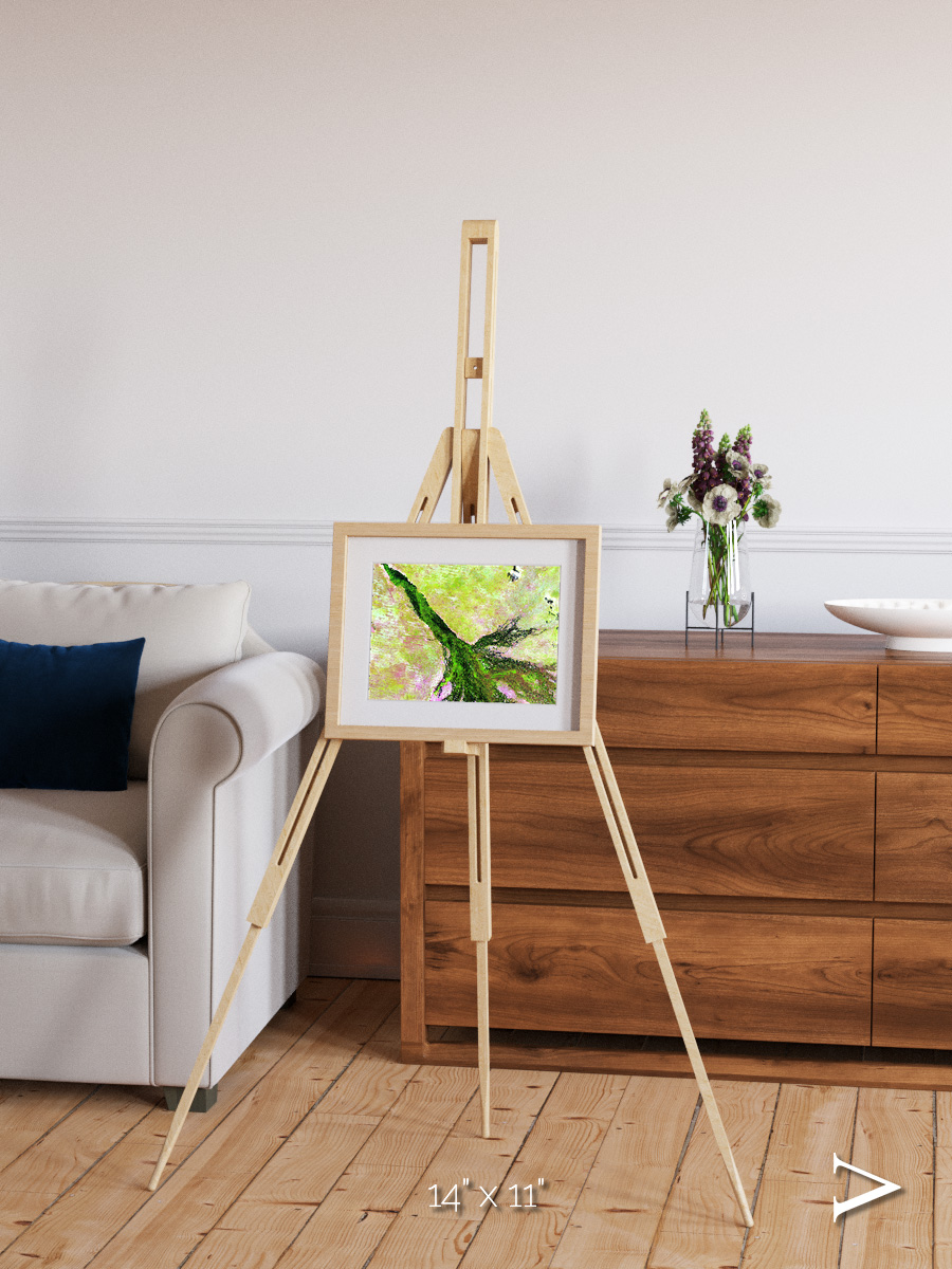 Inland Bloom, Okavango Framed & Mounted Print