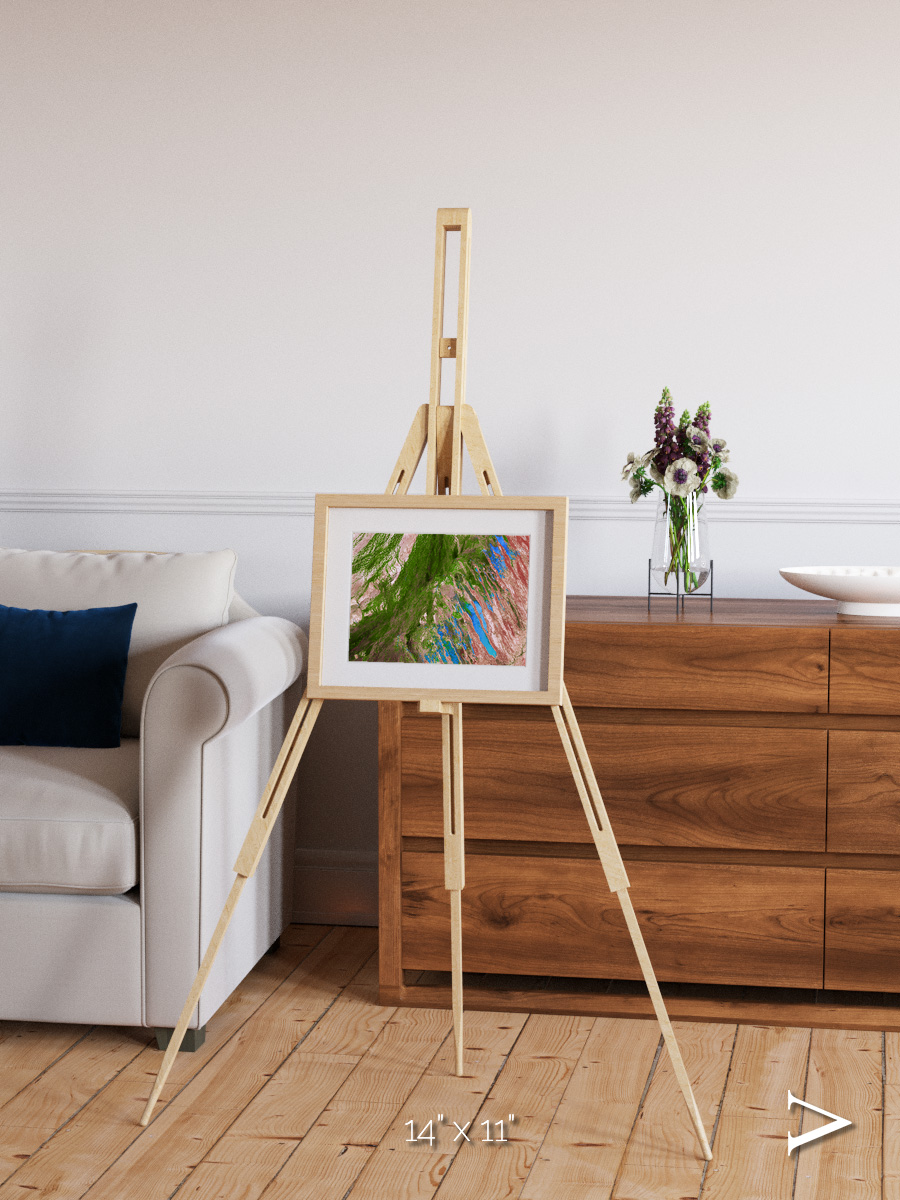 Desert Bloom, Lake Eyre Basin Framed & Mounted Print