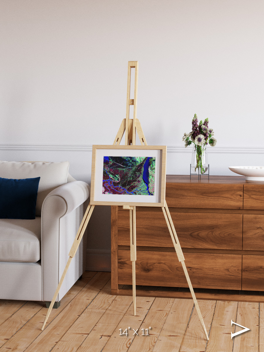 Braided Delta, Parana River Delta Framed & Mounted Print