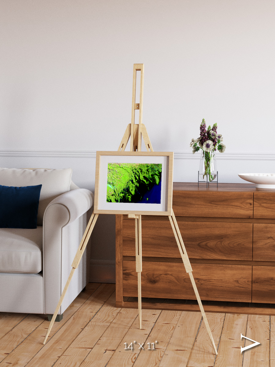 Delta Mosaic, Volga River Delta Framed & Mounted Print
