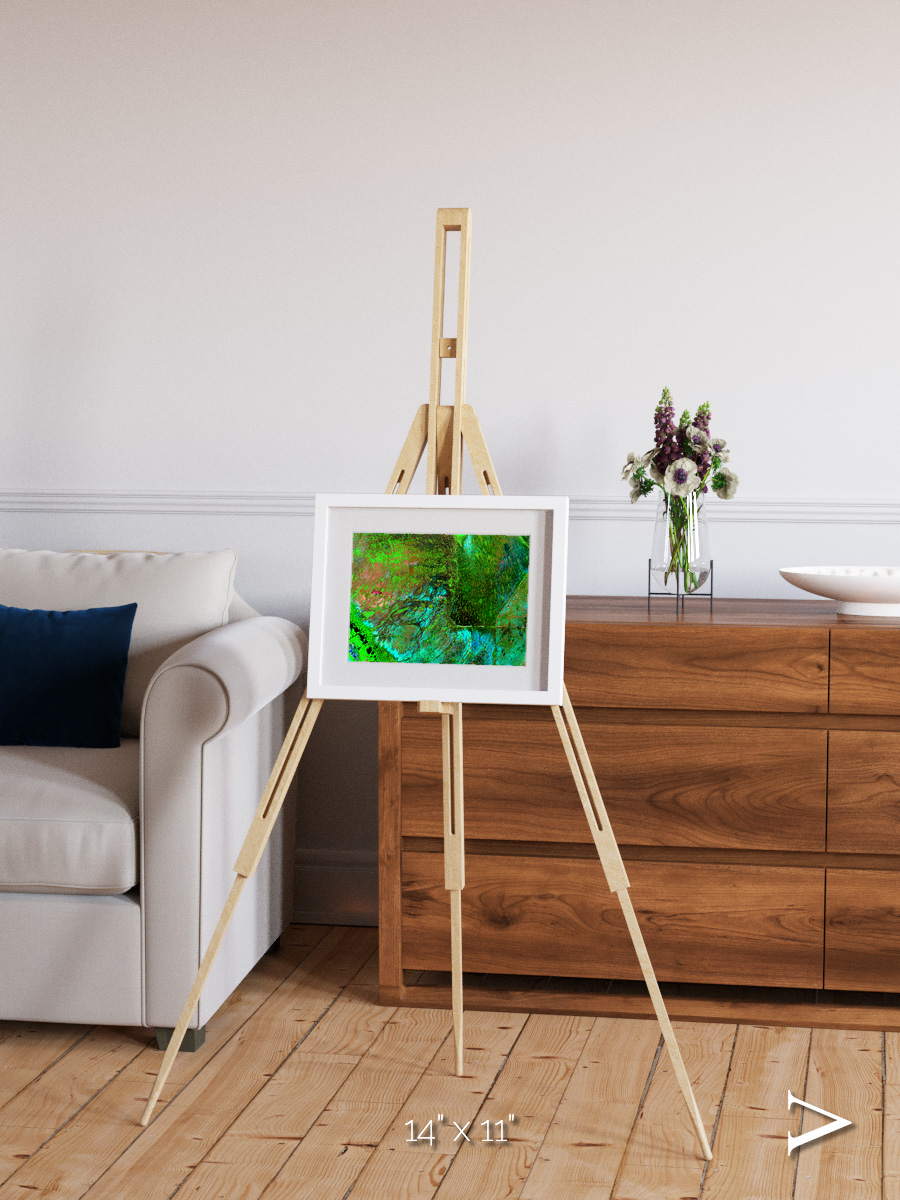 Linear Dunes, Florida Everglades Framed & Mounted Print