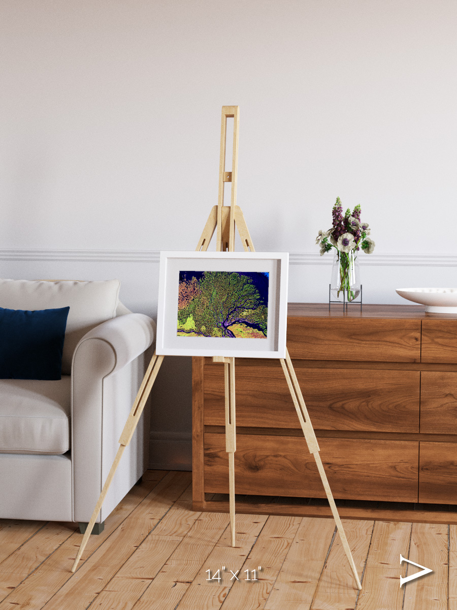 Delta Mosaic, Lena Delta Framed & Mounted Print