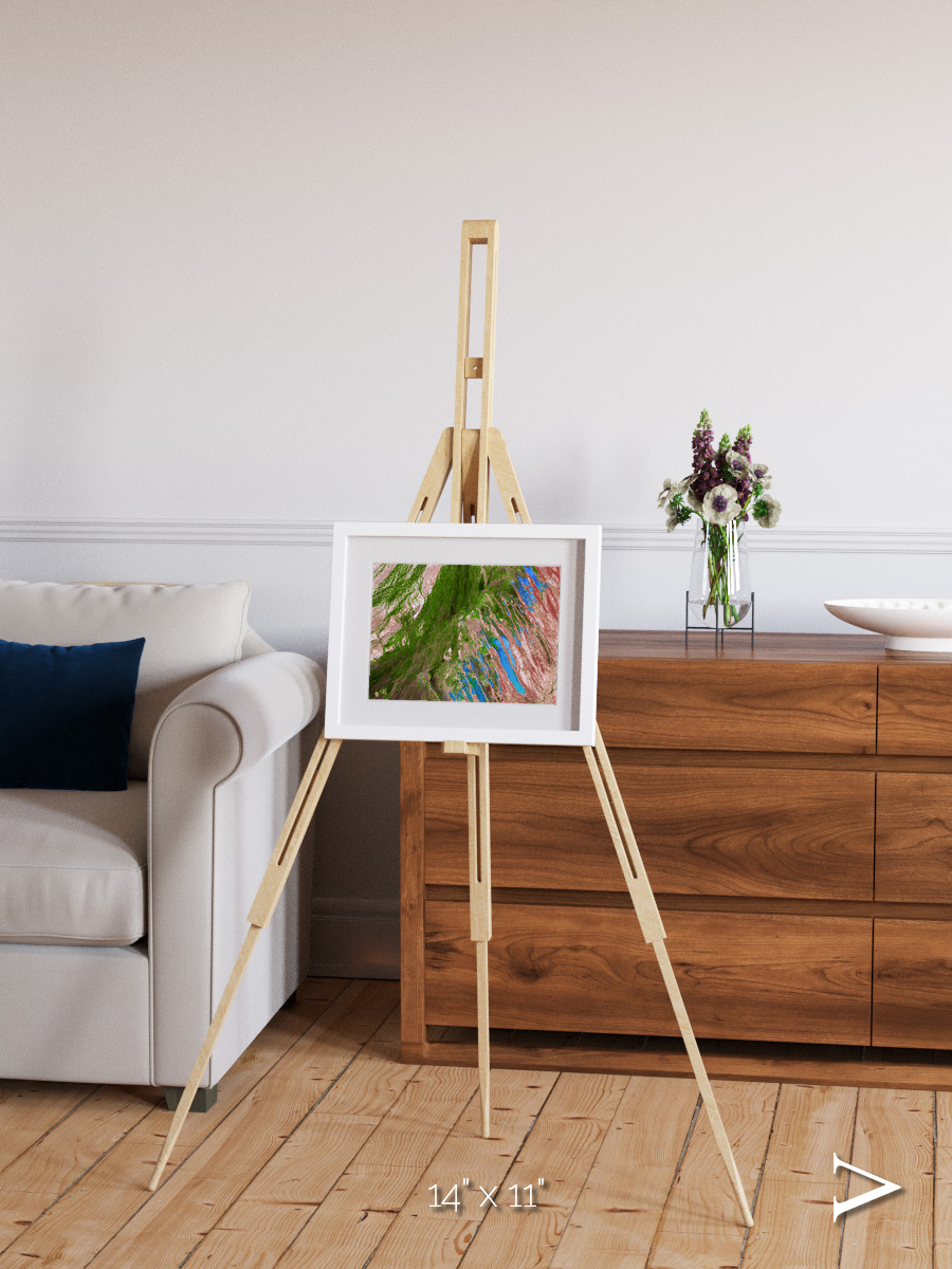 Desert Bloom, Lake Eyre Basin Framed & Mounted Print