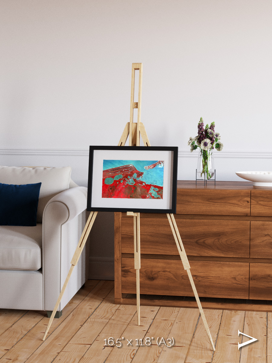 Remote Shores, Campeche Framed & Mounted Print