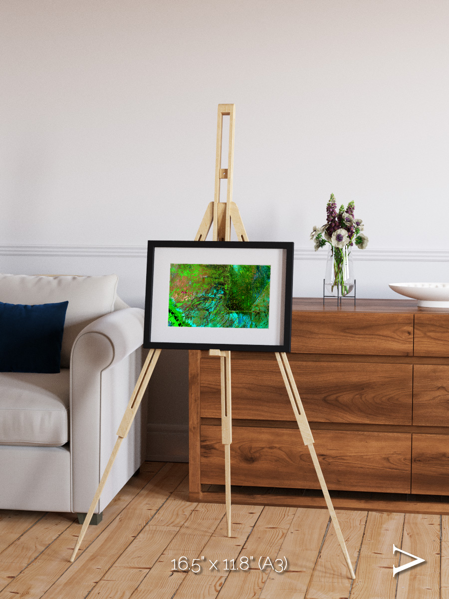 Linear Dunes, Florida Everglades Framed & Mounted Print