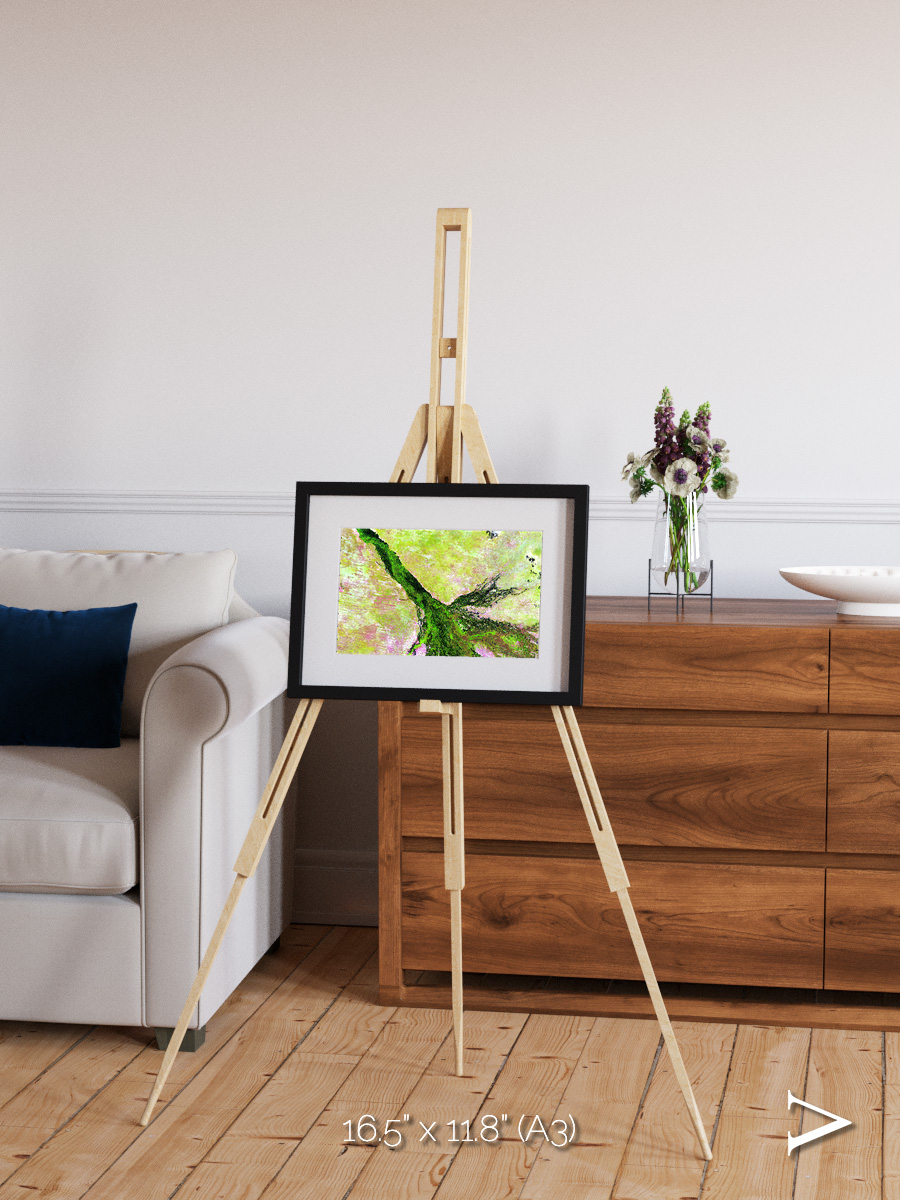 Inland Bloom, Okavango Framed & Mounted Print