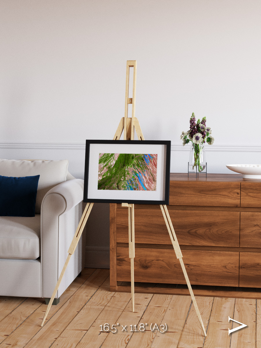 Desert Bloom, Lake Eyre Basin Framed & Mounted Print