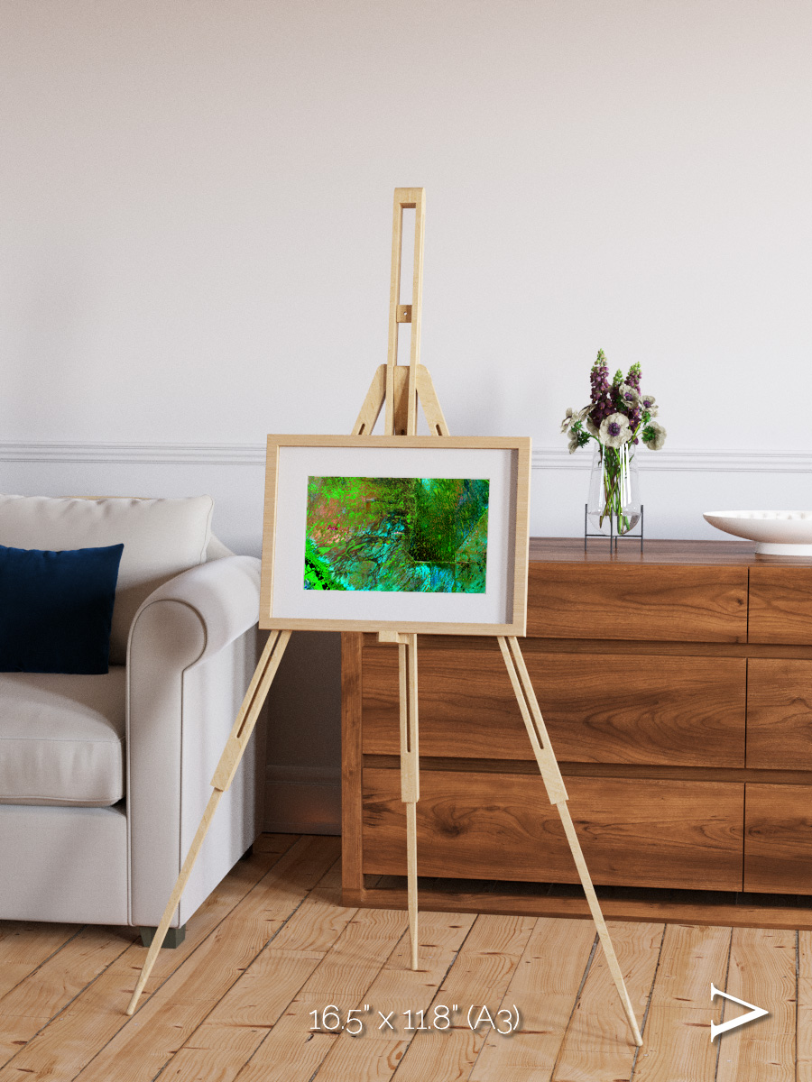Linear Dunes, Florida Everglades Framed & Mounted Print