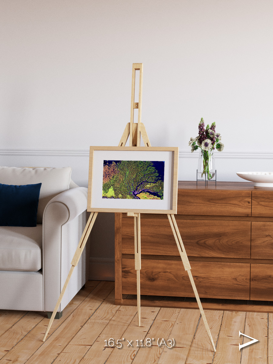Delta Mosaic, Lena Delta Framed & Mounted Print