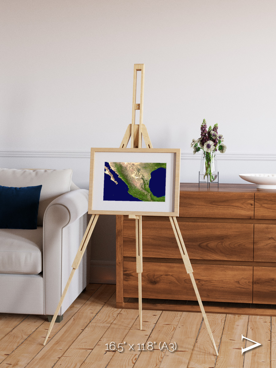 Windwritten Sands, Mexico and Central America Framed & Mounted Print