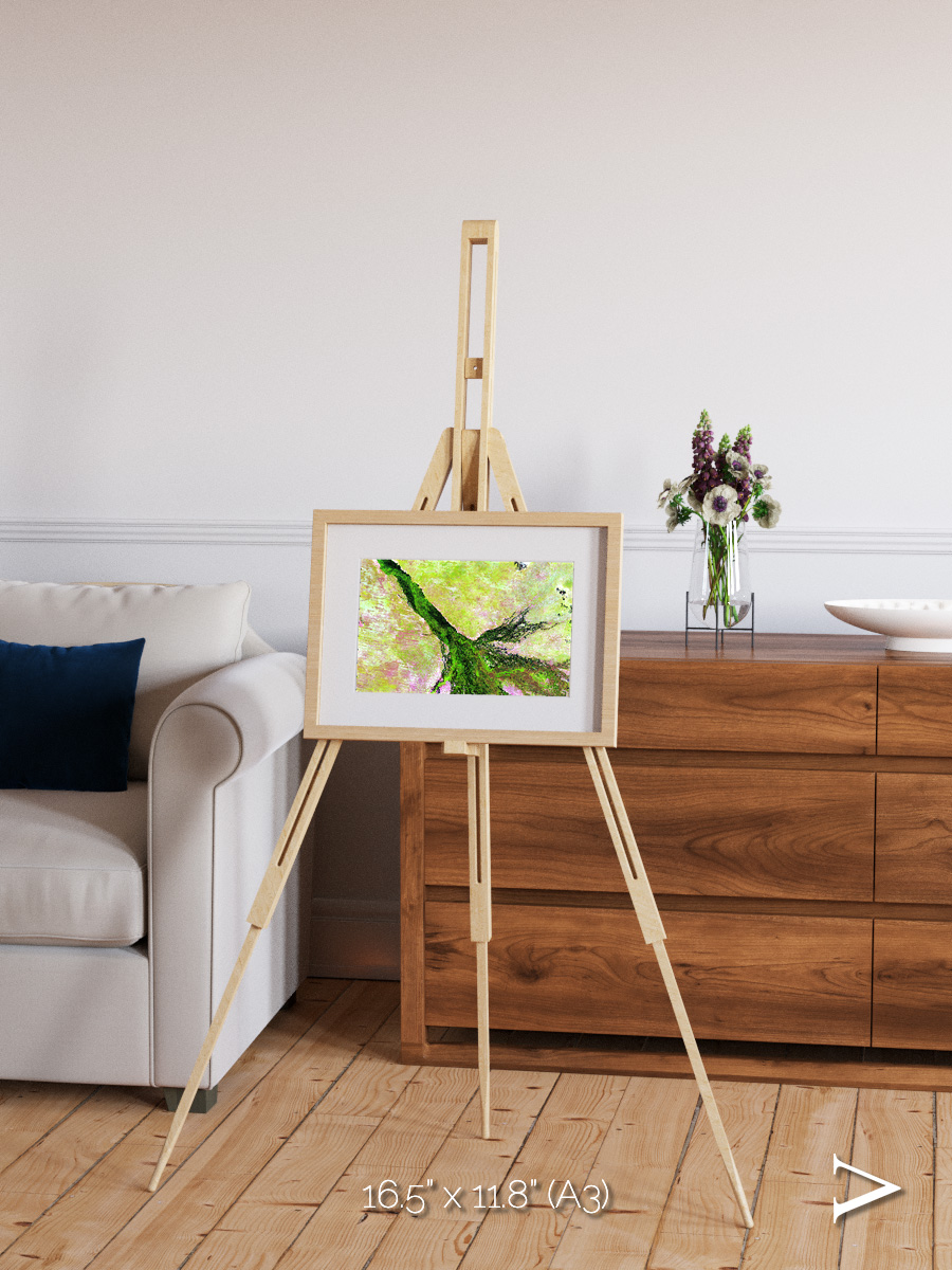 Inland Bloom, Okavango Framed & Mounted Print