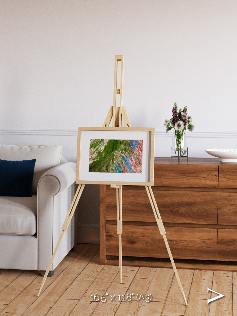 Desert Bloom, Lake Eyre Basin Framed & Mounted Print