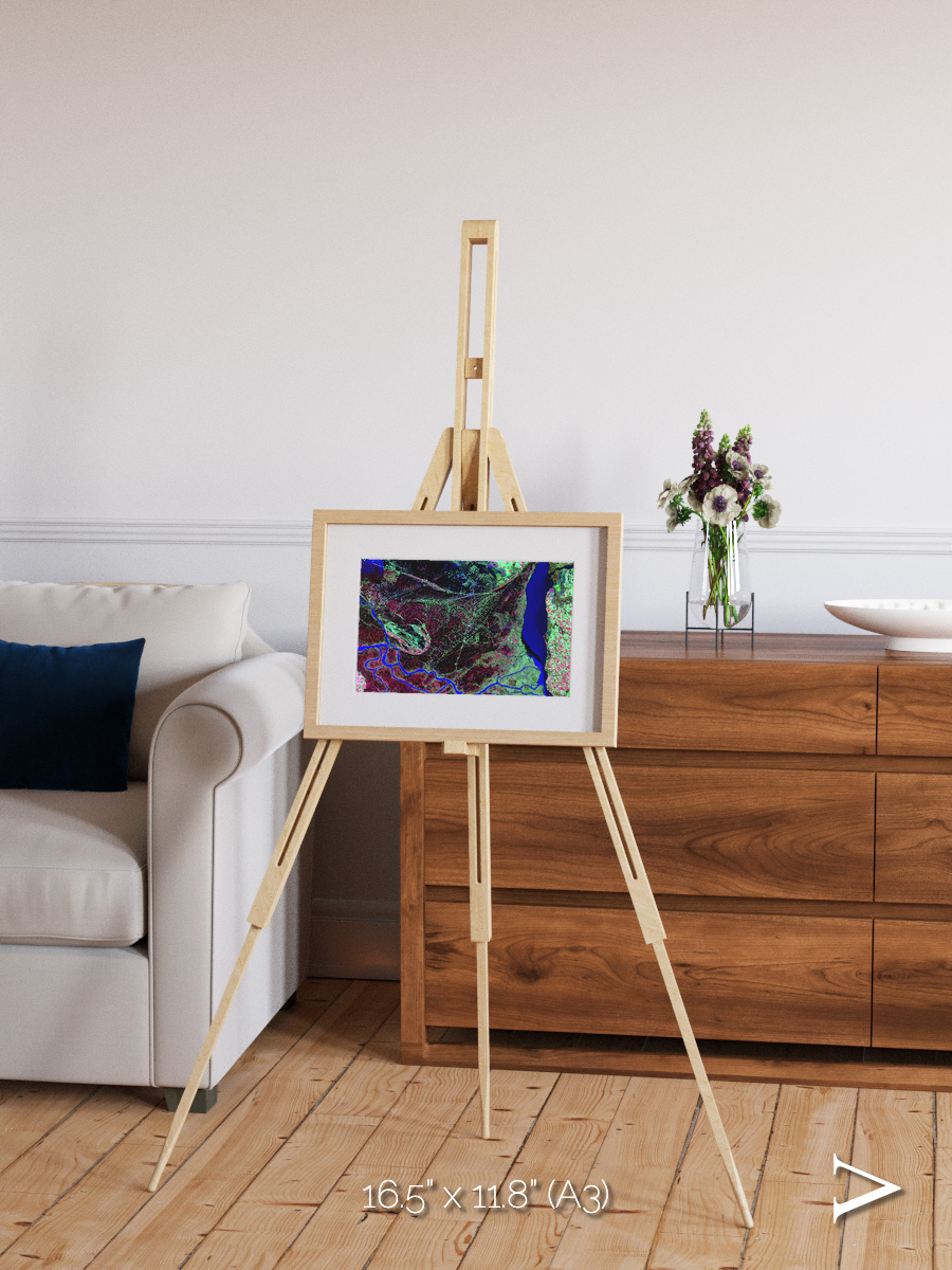 Braided Delta, Parana River Delta Framed & Mounted Print
