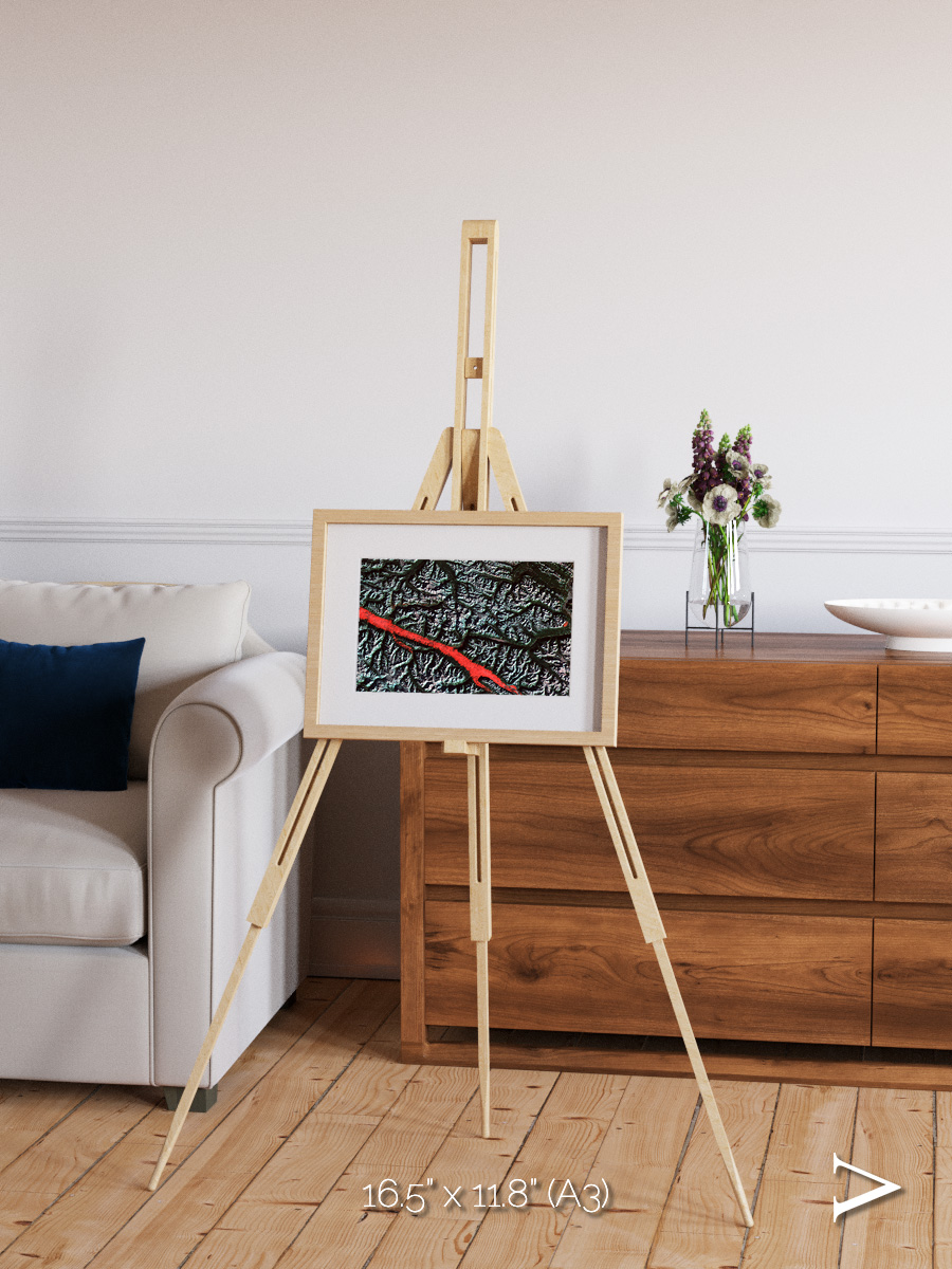 Light in the Trench, Canadian Rockies Framed & Mounted Print