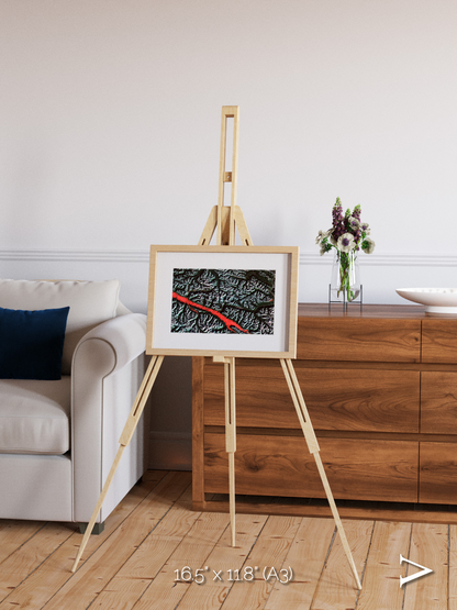 Light in the Trench, Canadian Rockies Framed & Mounted Print