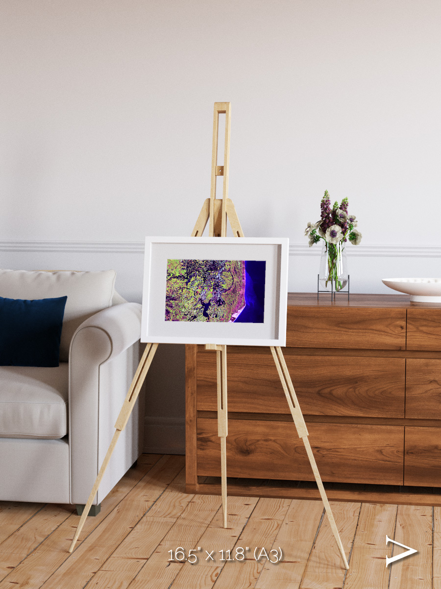 Wetland Mosaic, Cabo San Antonio Framed & Mounted Print
