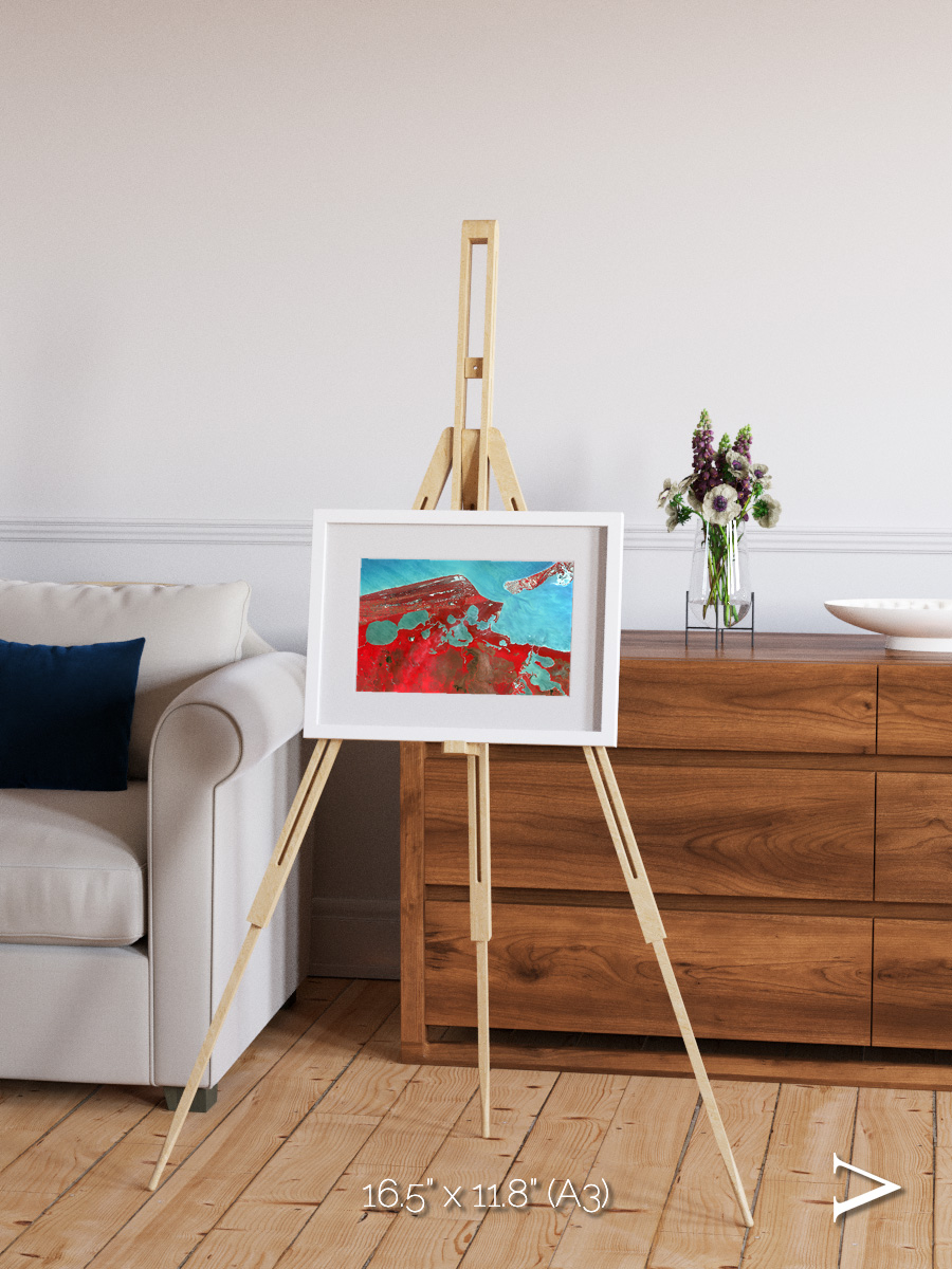 Remote Shores, Campeche Framed & Mounted Print