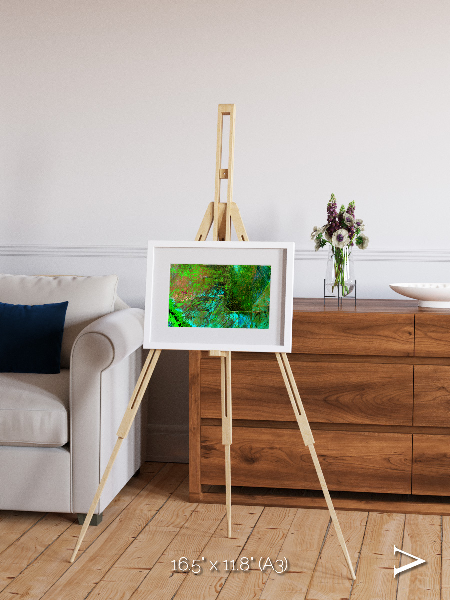 Linear Dunes, Florida Everglades Framed & Mounted Print