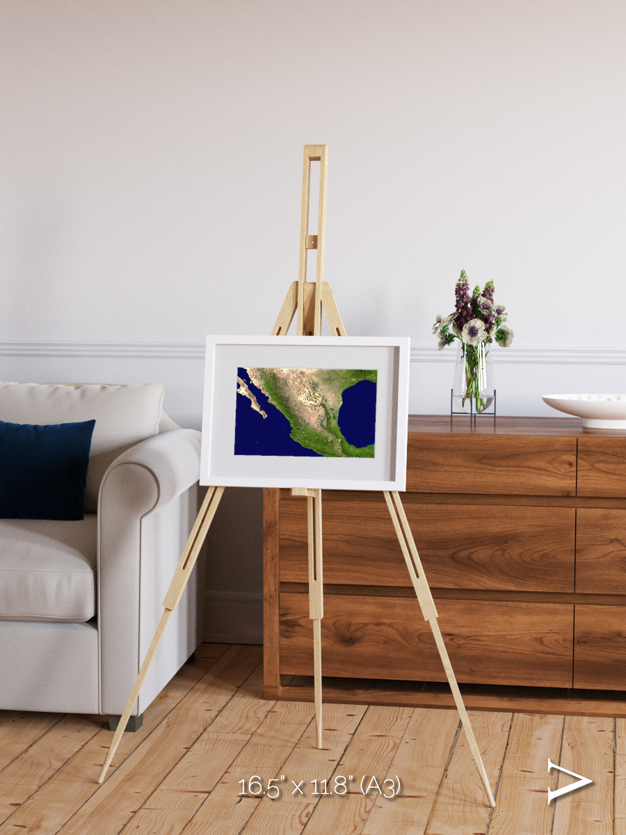 Windwritten Sands, Mexico and Central America Framed & Mounted Print