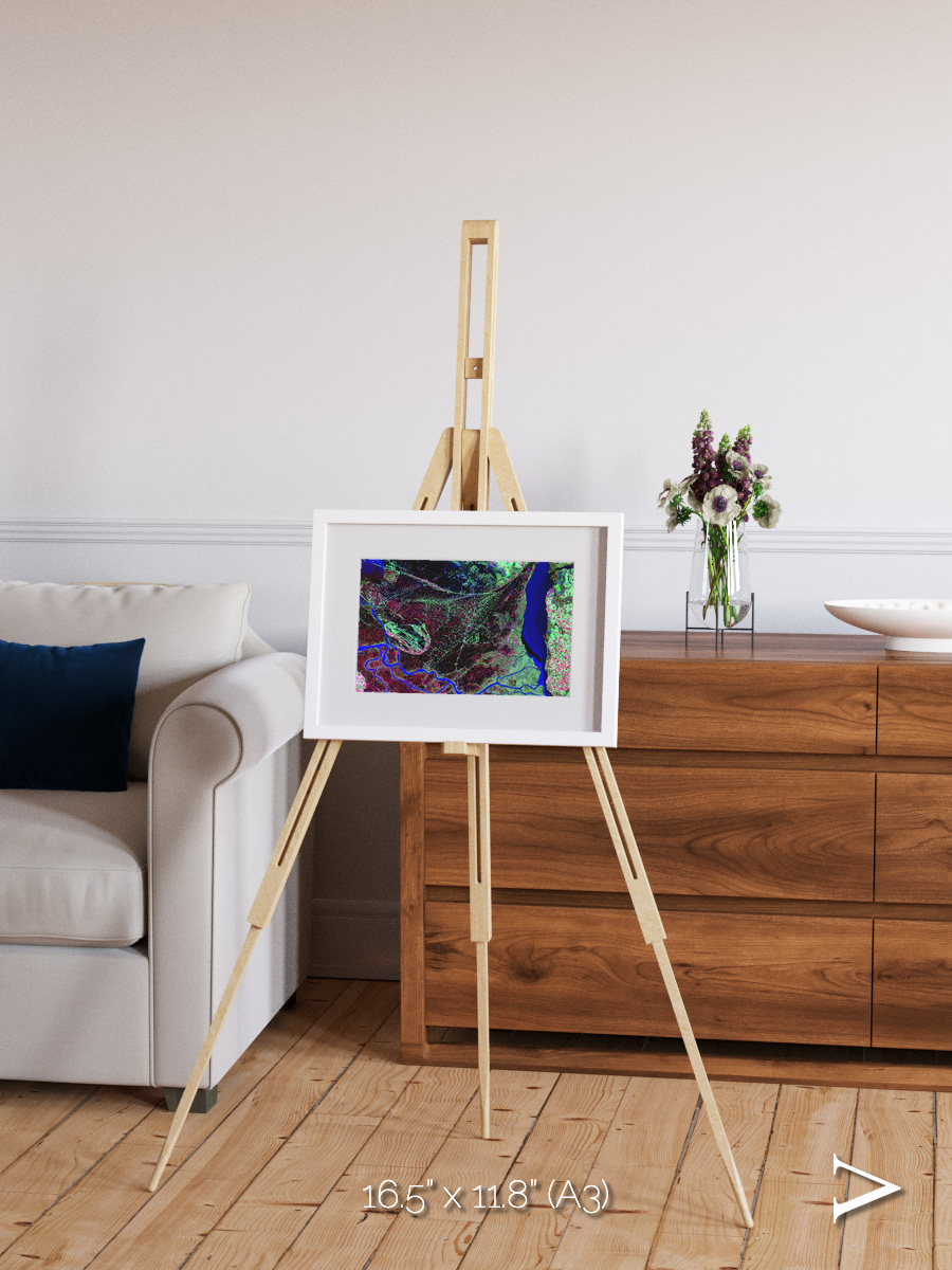 Braided Delta, Parana River Delta Framed & Mounted Print