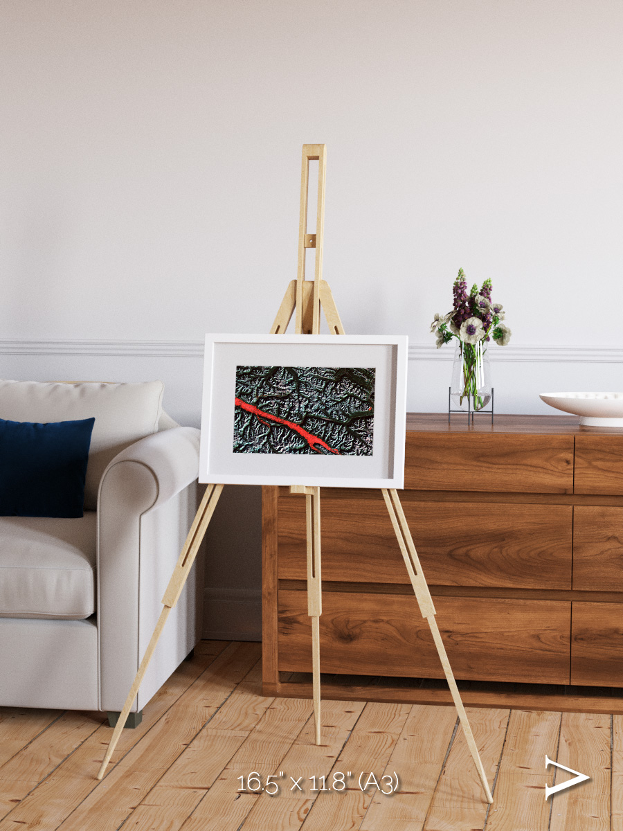 Light in the Trench, Canadian Rockies Framed & Mounted Print