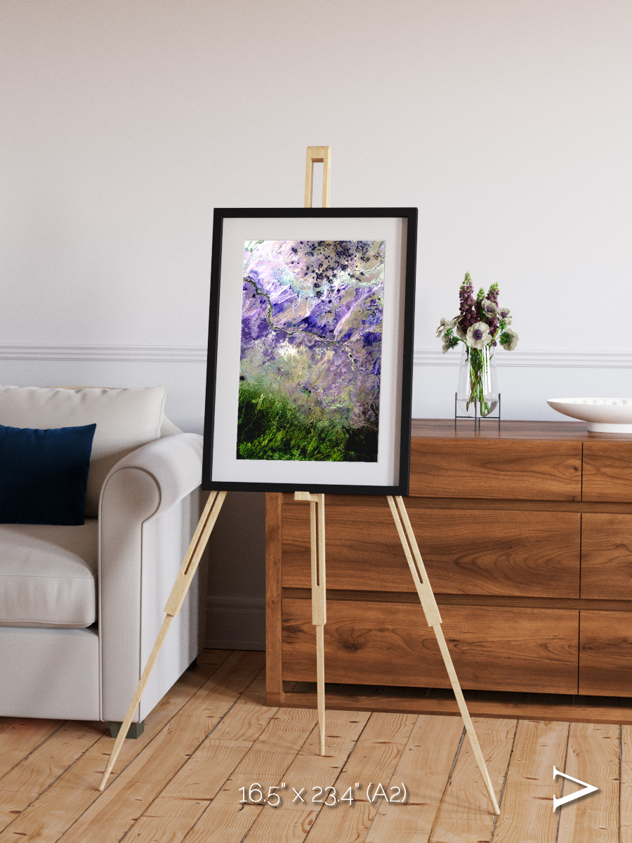 Arid Mosaic, Desert to Forest Framed & Mounted Print