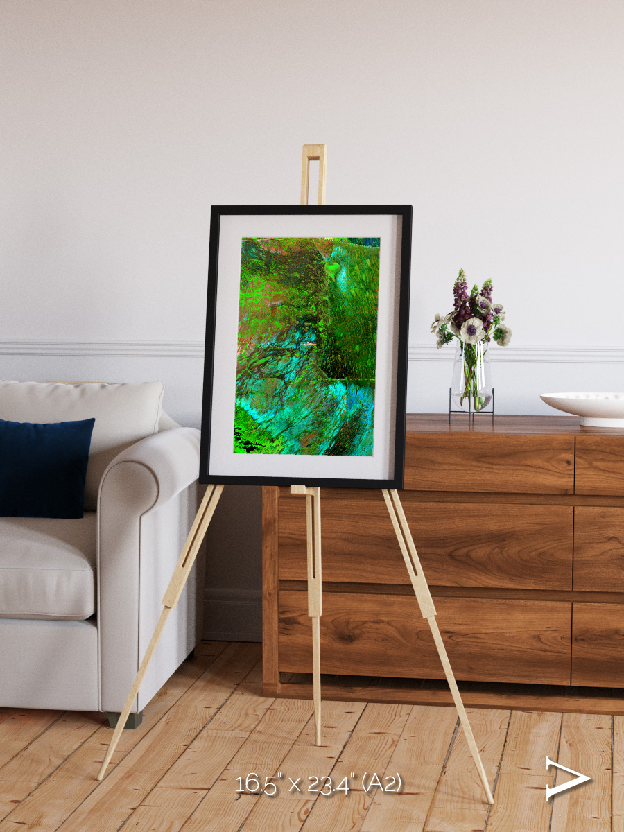 Linear Dunes, Florida Everglades Framed & Mounted Print