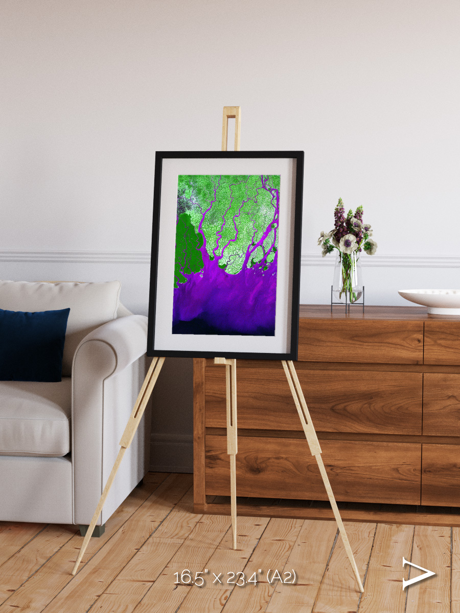 Delta Mosaic, Ganges River Delta Framed & Mounted Print