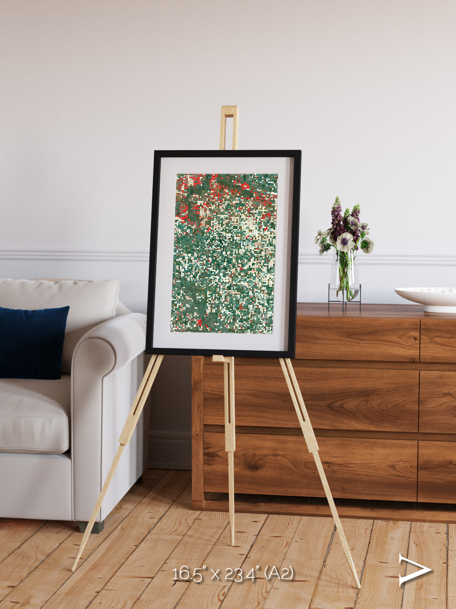 Patterns of Growth, Garden City Framed & Mounted Print