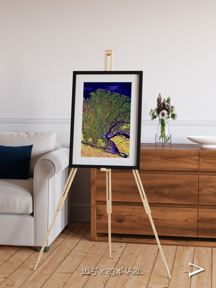 Delta Mosaic, Lena Delta Framed & Mounted Print
