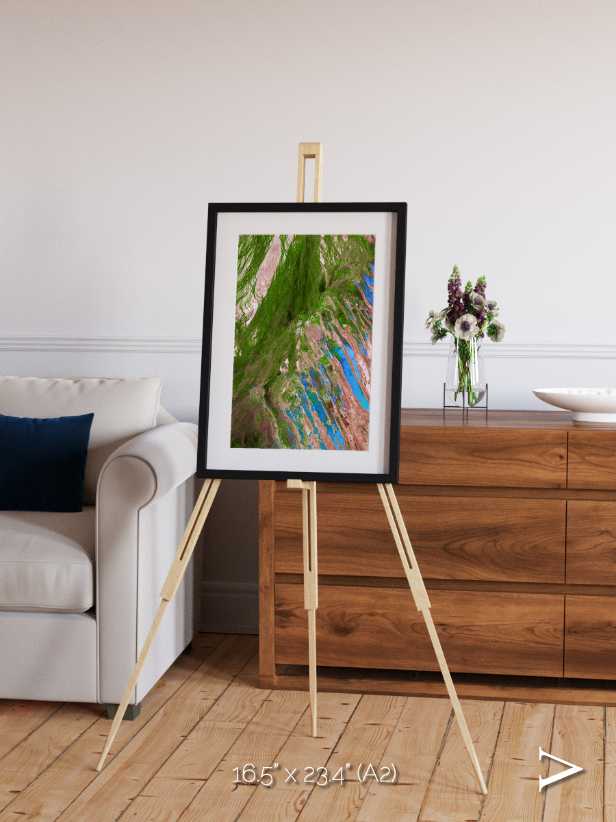 Desert Bloom, Lake Eyre Basin Framed & Mounted Print