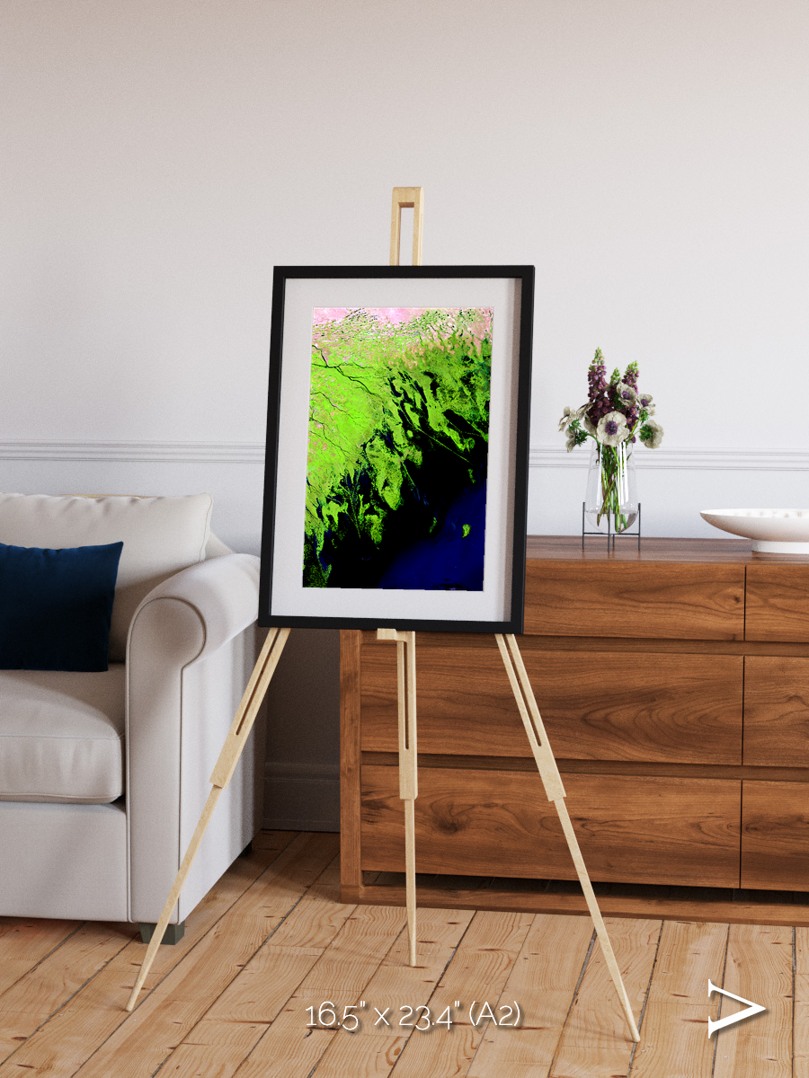 Delta Mosaic, Volga River Delta Framed & Mounted Print