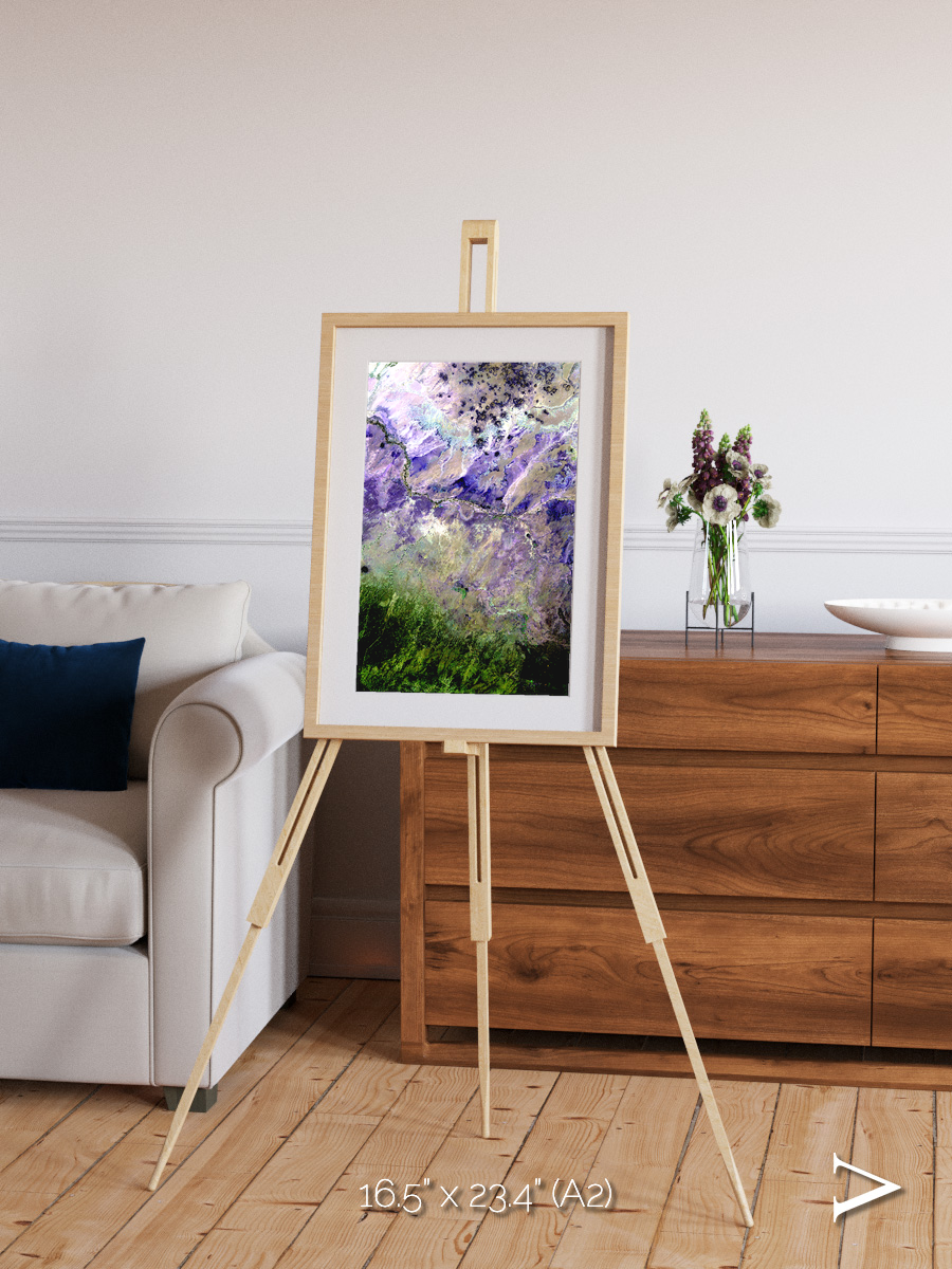 Arid Mosaic, Desert to Forest Framed & Mounted Print
