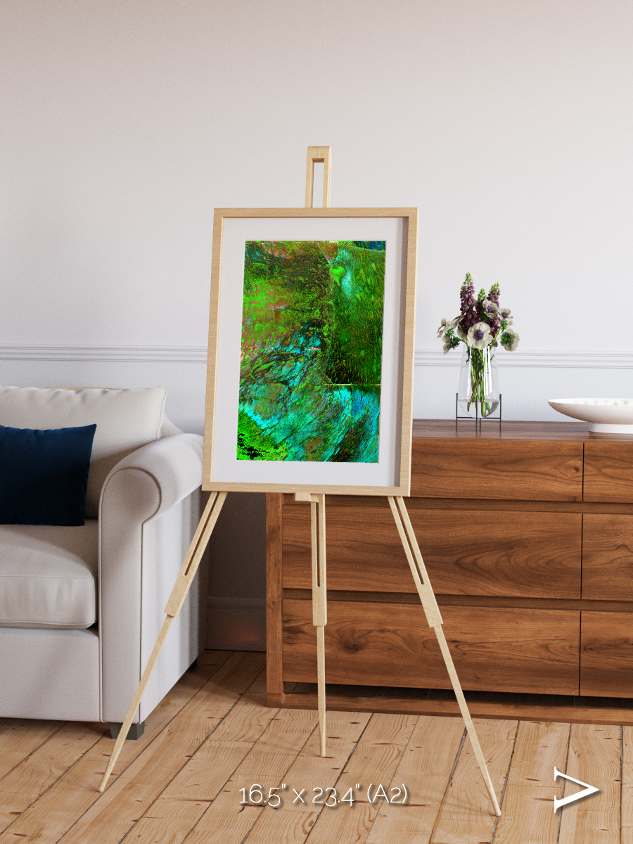Linear Dunes, Florida Everglades Framed & Mounted Print
