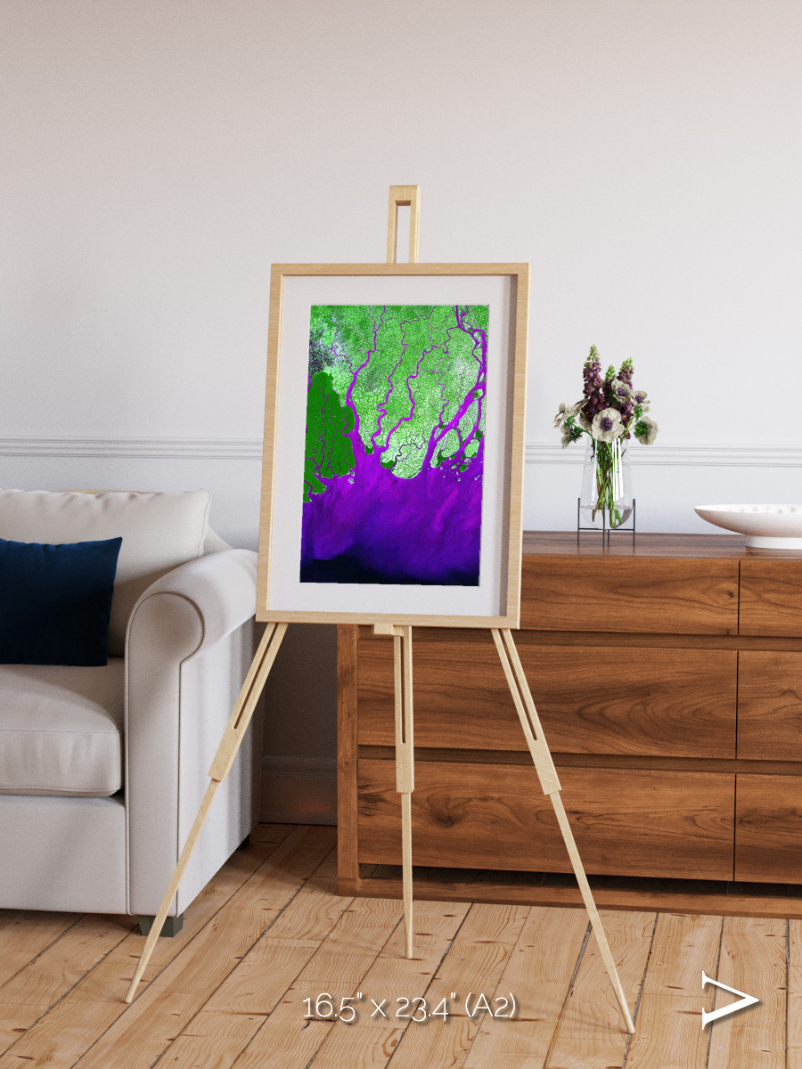 Delta Mosaic, Ganges River Delta Framed & Mounted Print